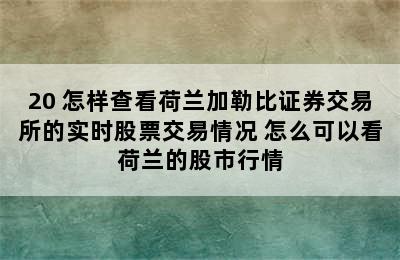 20 怎样查看荷兰加勒比证券交易所的实时股票交易情况 怎么可以看荷兰的股市行情